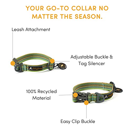 OllyDog Rescue Verstellbares Hundehalsband mit stabiler Schnalle, leichtes Trainingshalsband für große, mittelgroße und kleine Hunde (Mittel, Prismgrün)