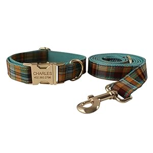 Custom Dog Collar with Names and Phone Number Engraved Puppy Tags Personalized for Small Medium Large Pets  Cucciolini Doodles Custom dog collar with names and phone number engraved puppy tags personalized for small medium large pets   cucciolini doodles