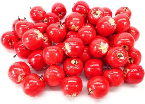 yz 킢 P ~j  HiTv Hi͌^ 50Zbg (bh) [sAi]