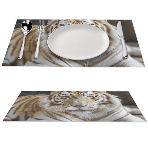 Sets de table de cuisine antidérapants pour protéger de la chaleur - 2