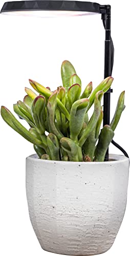 AeroGarden Stem Grow Light for Indoor Plants, Grow...