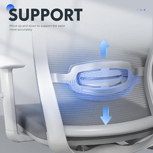 Image of FLEXISPOT OC3 Cloud Ergonomic Office Chair, Mesh Back Computer Chair, Home Office Desk Chairs with Adjustable Lumbar Support /3D Headrest /Reliable Base, Elastic Foam Seat, Light Gray