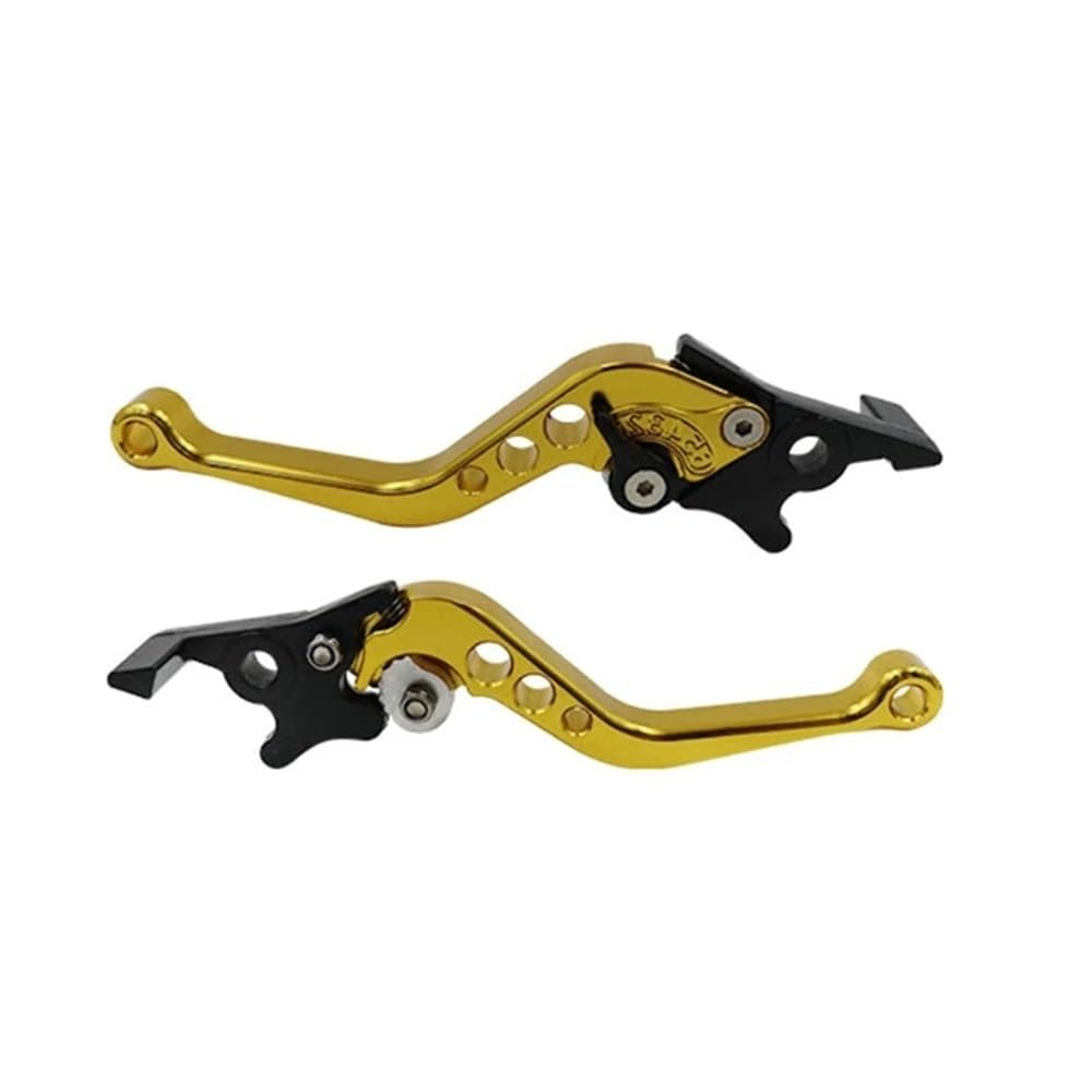 LTCZGRCI Motorbike Brake Levers Adjustable Double Disc Brake Motorcycle Modification Accessory Handle Lever for D7YA