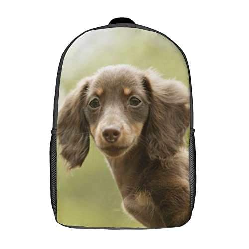 Sac à dos pour garçons et filles de 17 pouces ergonomique pour soulager le dos des élèves