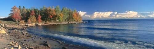 First Art Source - Póster (36 x 12)