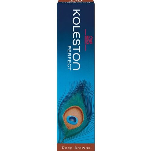 Lebensversicherungstechnik algebraisch verstehen