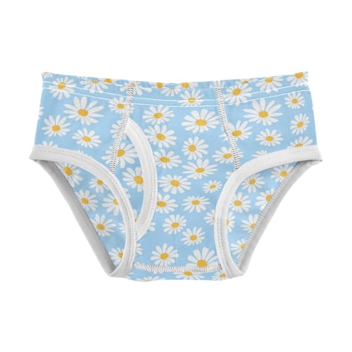 Boys' Exclusive Briefs Toddler Underwear 95% Combed Cotton Boxerbriefs 2T Daisy Pattern 54