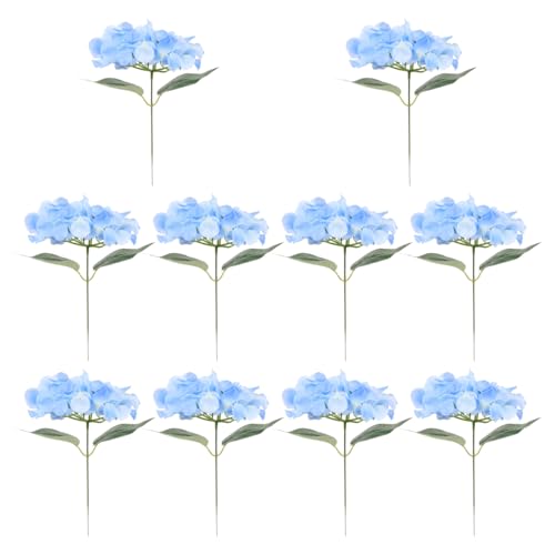 DEARMAMY  AWTC 10{Zbg tFCNt[ CeA z[fR[V  p[eB[p  10C`