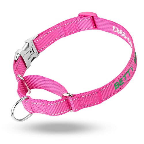 50% Off Custom Reflective Martingale Dog Collar - Image 3