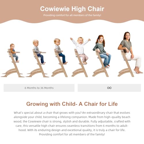 Image of Cowiewie New Upgrade 3-in-1 Convertible Wooden High Chair for Babies & Toddlers 10 Levels Adjustable 3-Tier Remove & 2 Adjustable Wood Tray, 2 Waterproof Cozy Cushions Grey