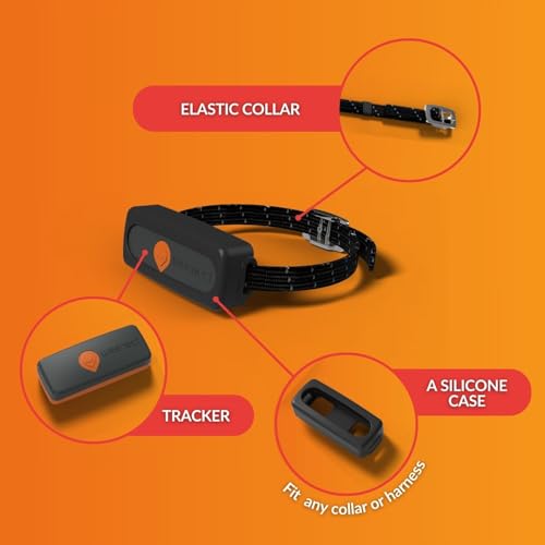 Weenect Cat Xs - New Gps Tracker For Cats thumb #1