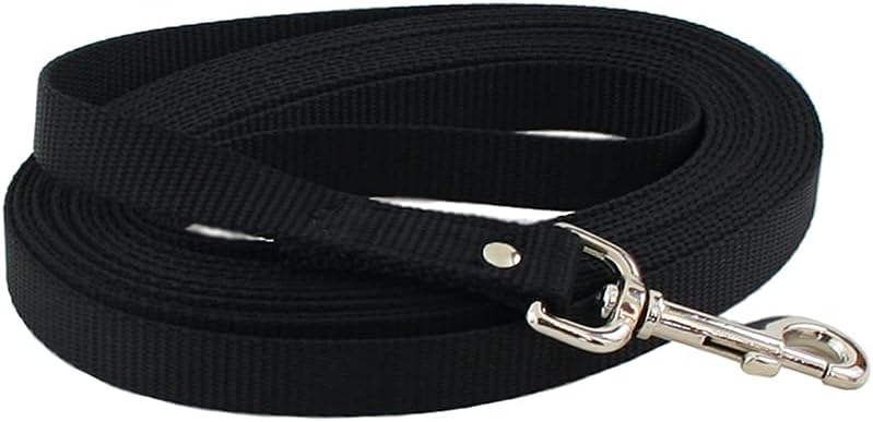 Auburn Nylon Web Training Lead 0.75in x 10ft Black