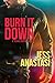 Burn It Down (3) (Texas Heroes)