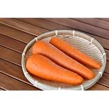 【北海道十勝産の美味しい人参 紅奏】北海道 十勝産 高糖度人参 秀品S～ Lサイズ 低農薬 紅奏 ニンジン にんじん 浦幌 (5kg 約20~25本)