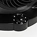 IRIS USA Medium WOOZOO Vortex Desk Fan with 3 Speed Settings and 6 Tilting Head Settings, Quiet and Compact Tabletop Air Circulator Fan with 52 Ft Max Air Distance, Black