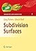 Produktbild Subdivision Surfaces (Geometry and Computing, 3, Band 3)