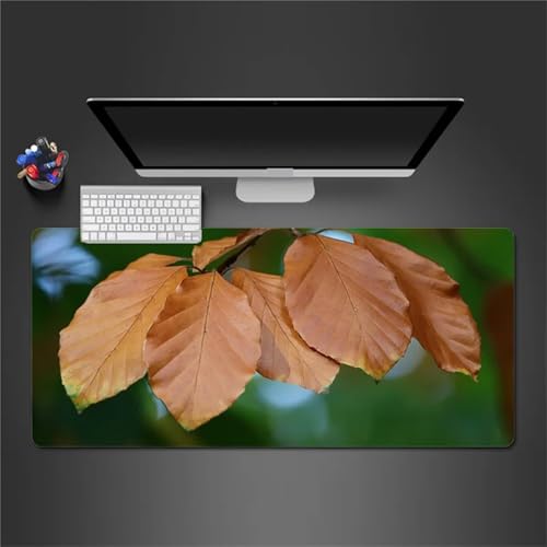 ヴァイスシュヴァルツ ブースターパック アニメ『ウマ娘 シンデレラグレイ』 BOX