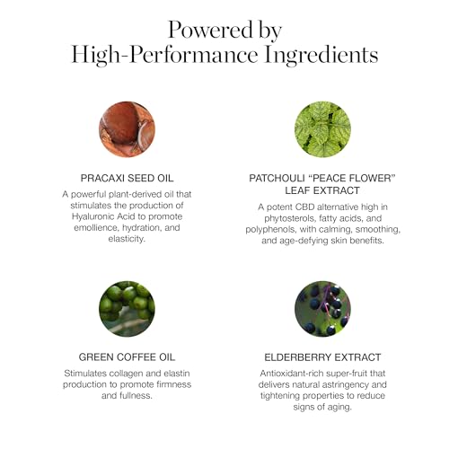 Ogee Sculpted Complexion Foundation Stick (Birch 0.25N - Fair, Neutral Undertones) Full Coverage Foundation Makeup - Instantly Balance & Even Complexion - 70% Organic Ingredients - Image 4