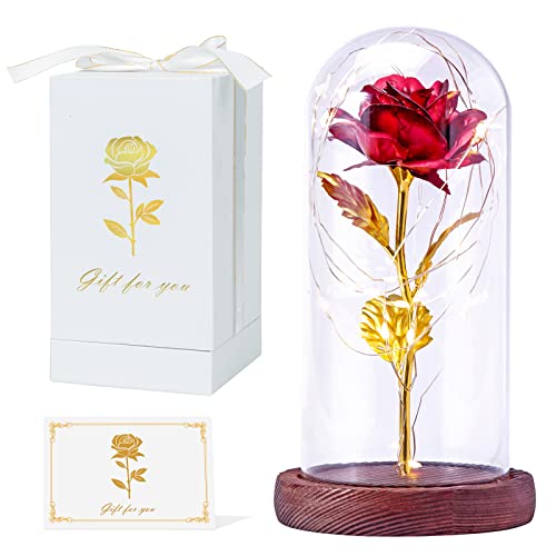 Beaulyn Valentine's Day Gifts for Her Women - Light Up Rose Gift with Led String Light in Glass Dome, Women Gift for Her Mom Grandma Girlfriend Wife Valentines Anniversary Birthday Wedding