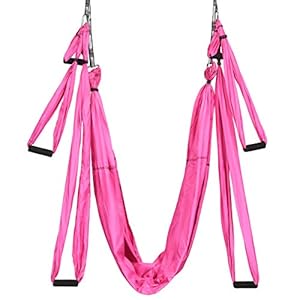 COSTWAY Aerial Yoga Swing Set, Antigravity Yoga Hammock with Carry Bag, 4 Steel Carabiners, 6 Handles, Professional Yoga Flying Strap Sling