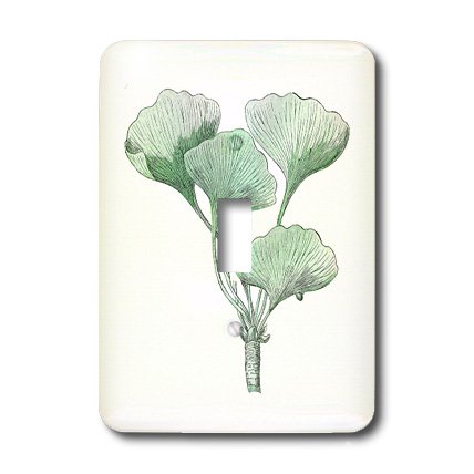 Interrupteur Ginkgo Biloba vintage 3dRose lsp_184262_1 pour salon et chambre cosy