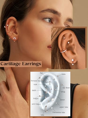 ORAZIO 16g Rook Piercing Jewelry Surgical Steel Vertical Labret Lip Jewelry Gold Eyebrow Piercing Rook Daith Earrings for Women Cartilage Curved Barbell Daith Tragus Piercing Jewelry 14Pcs2