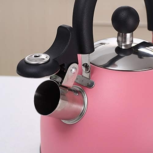 Stainless Steel Whistle Kettle, Whistle Kettle, Coffee Milk Tea Kettle, Heating Kettle