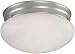 Forte Lighting 6203-02-55 2LT Mushroom ceiling