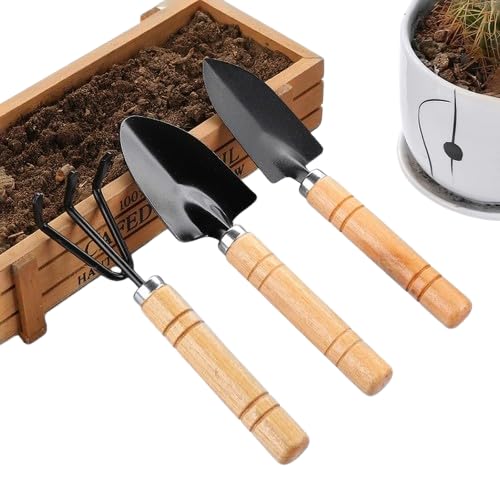 3-Piece Gardening Tool Kit | Hand Trowel, Garden Fork & Transplanting Shovel | Durable Metal Garden Tools with Wooden Handles for Indoor & Outdoor Gardening (Pack of 3)-image-49