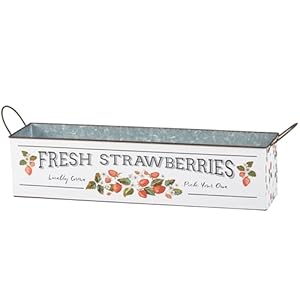 Primitives by kathy fresh strawberries bin set  urban country home decor