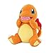 Imagen de Pokemon Charmander 20