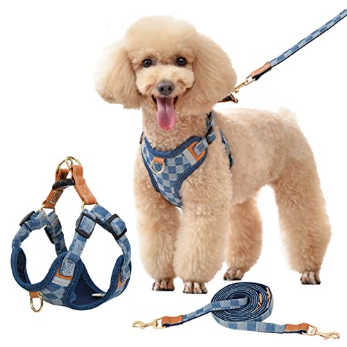 BELLA & PAL Hundegeschirr Und Leine Set - Weich, Verstellbar, Step-in Design Für Kleine Hunde & Welpen