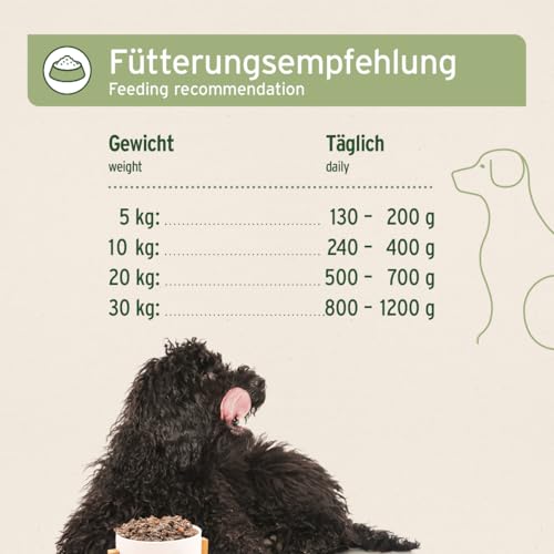 AniForte Hundefutter Nass RanchHorse 6 x 400g – Nassfutter für Hunde, Frisches Pferd mit Gemüse & Früchten, hoher Fleischanteil, Natürliches Hundenassfutter getreidefrei