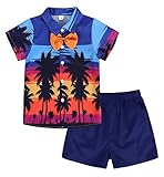 ❤️Diseño: lindo y adorable dinosaurio y ropa de bebé estilo hawaiano que hace que tu bebé sea más atractivo y elegante.