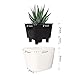 T4U 4 Inch Self Watering Plastic Planter with Liner Pack of 6 - Matte White, Modern Decorative Small Planter Pot for House Plants, Aloe, Herbs, African Violets, Succulents and More