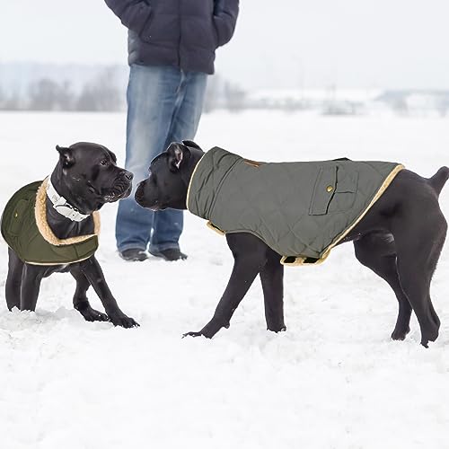 CITÉTOILE Wintermantel Hundemantel, Warme Winterjacken mit Fleece für Hunde,Hundejacke Hundekleidung Hundepullover Dog Coat mit Geschirr Loch für Chihuahua Dackel, Grau, XS