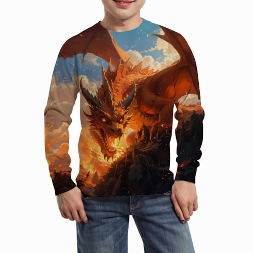 Boy's Comfy Print 3D Fire Dragon Sport Long Sleeve Crew Neck Sweatshirt With 6-14 Years