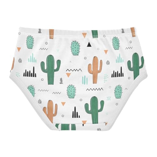 Cactus Toddler Girls's Underwear 2T 202c16292