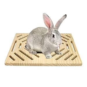 Litewoo Rabbit Scratch Board Foot Pad Mat Chew Toy Grinding Claws Teeth Natural Wood for Small Animal Rabbit Hamster Chinchilla Guinea Pig Ferret Gerbil Bunny Rat Cage Accessories (B)