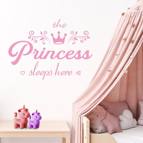 STNRST-IN Princess Wall Decals, Pink Crown Wall Stickers for Nursery Bedroom, Girls Kids Room Sticker Decor, Decorative Peel and Stick Window Mural 18...