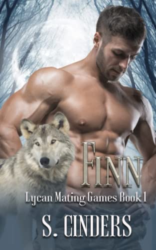 Finn view 2