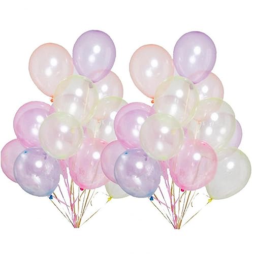 D NA ebNX o[  wED Jt A D a  NX}X p[eB[  100