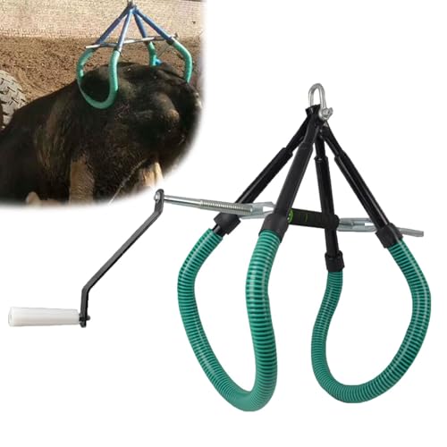 Support de levage pour vache en acier renforcé de qualité agricole