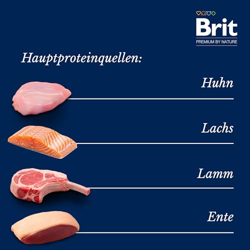 Brit Premium Delicate Nassfutter Multipack für Katzen, zarte Filets in Soße, Huhn, Lachs, Lamm & Ente, proteinreiches Katzenfutter, 12 x 85 g – Bild 5