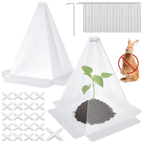 Campanas para Plantas: Campanas para Plantas, Cubierta Protectora Reutilizable para Plantass, Suministros De Jardinería Antiarañazos, Transmisión De Luz para Viveros De Plántulas, Prevención De