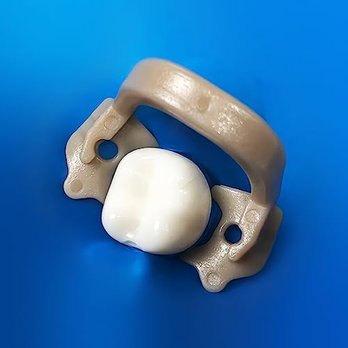 Rwbatt RD-09 Dental Rubber Dam Clamps Resin Rubber Barrier Clip Dental Endodental Rubber Dam Holder Autoclavable Dental Dentist Tools thumb #4