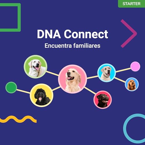 Miniatura 5 de Koko Genetics - Test Adn Para Perros Starter Reportes De Razas Y Rasgos - Actualizaciones Sin Coste.
