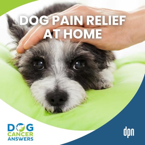 Dog Pain Relief at Home: Game-Changing Devices | Dr. Erica Ancier #292 cover art