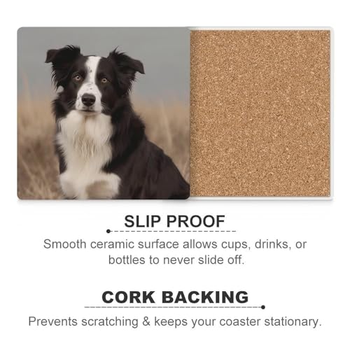 Dessous de verre Border Collie en céramique absorbante lot de 4 pour table basse - 7