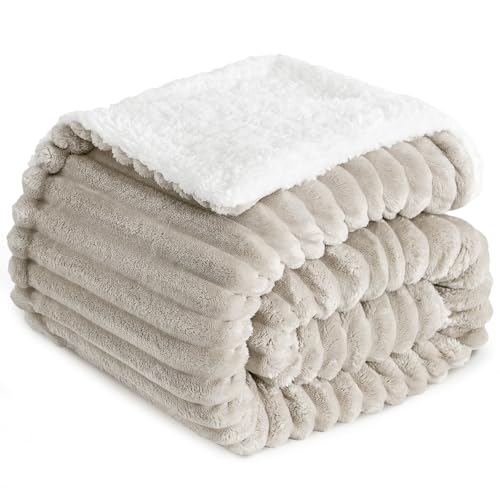 RUIKASI Plaid Coperta Pile Matrimoniale - 150x200 cm Coperta Termica Invernale Sherpa Morbida per Divano e Letto Matrimoniale, Beige